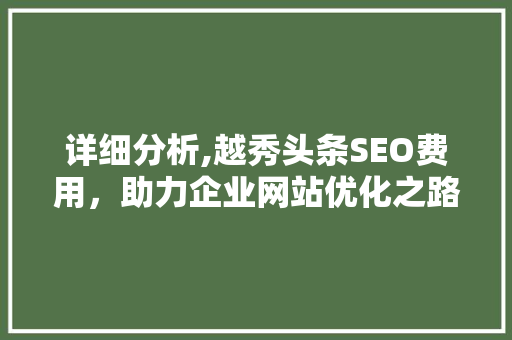 详细分析,越秀头条SEO费用，助力企业网站优化之路