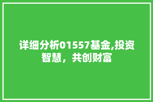 详细分析01557基金,投资智慧，共创财富