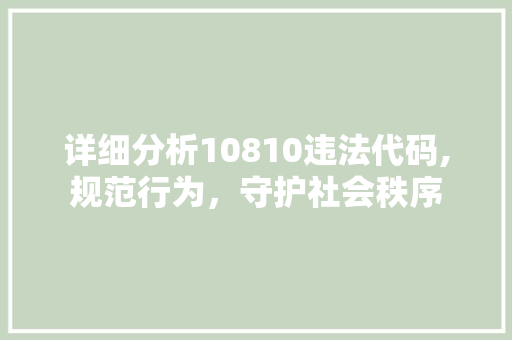 详细分析10810违法代码,规范行为，守护社会秩序