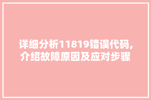 详细分析11819错误代码,介绍故障原因及应对步骤