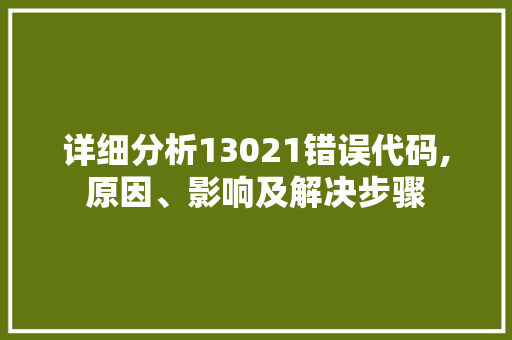 详细分析13021错误代码,原因、影响及解决步骤