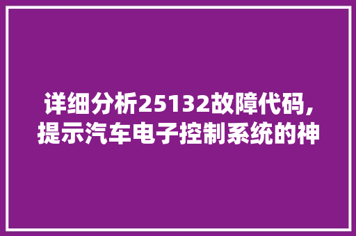 详细分析25132故障代码,提示汽车电子控制系统的神秘面纱