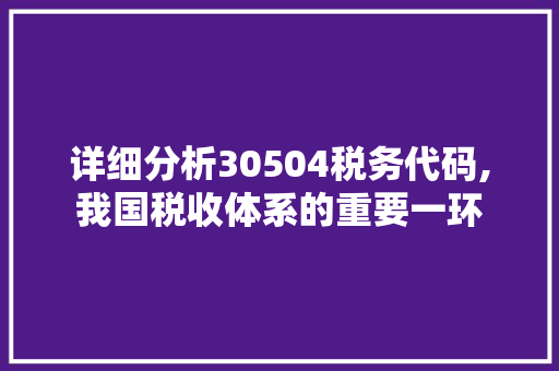 详细分析30504税务代码,我国税收体系的重要一环