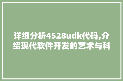 详细分析4528udk代码,介绍现代软件开发的艺术与科学