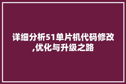 详细分析51单片机代码修改,优化与升级之路