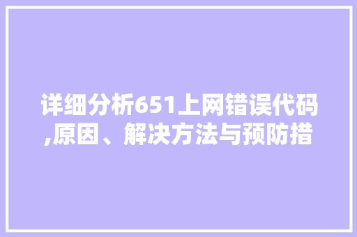 详细分析651上网错误代码,原因、解决方法与预防措施