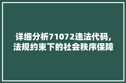 详细分析71072违法代码,法规约束下的社会秩序保障