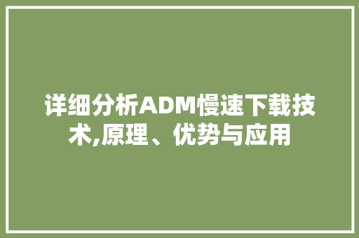 详细分析ADM慢速下载技术,原理、优势与应用