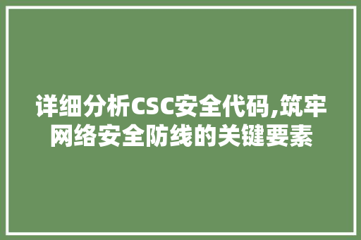 详细分析CSC安全代码,筑牢网络安全防线的关键要素