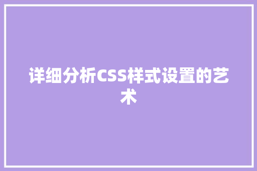 详细分析CSS样式设置的艺术