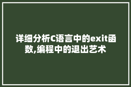 详细分析C语言中的exit函数,编程中的退出艺术