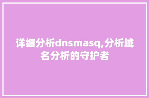 详细分析dnsmasq,分析域名分析的守护者