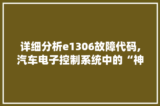 详细分析e1306故障代码,汽车电子控制系统中的“神秘使者”