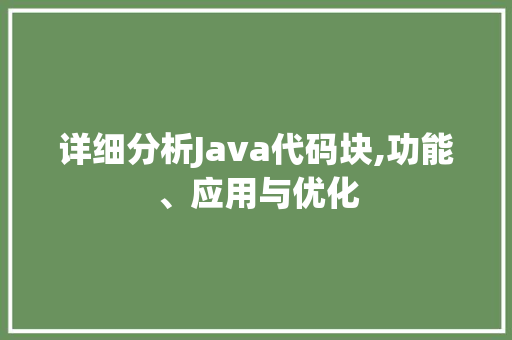 详细分析Java代码块,功能、应用与优化