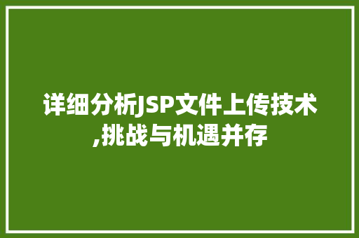 详细分析JSP文件上传技术,挑战与机遇并存