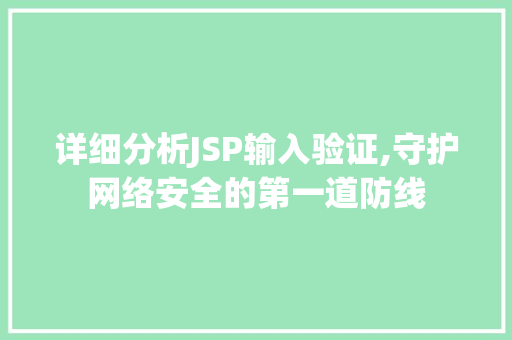 详细分析JSP输入验证,守护网络安全的第一道防线