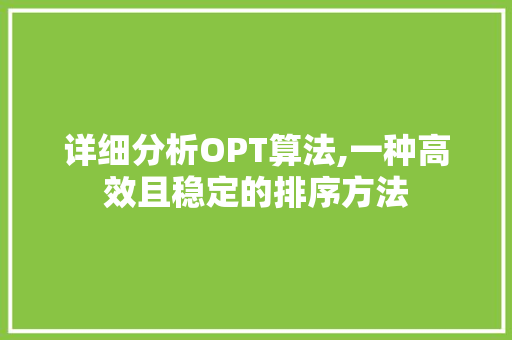 详细分析OPT算法,一种高效且稳定的排序方法