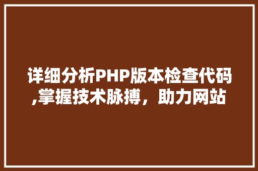 详细分析PHP版本检查代码,掌握技术脉搏，助力网站优化