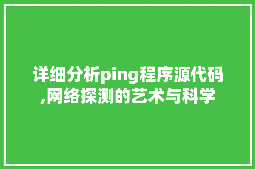 详细分析ping程序源代码,网络探测的艺术与科学