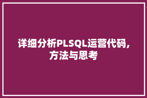 详细分析PLSQL运营代码,方法与思考