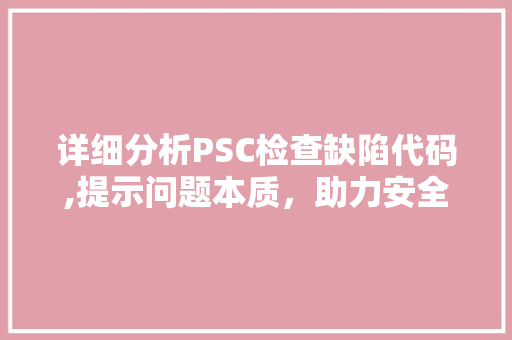 详细分析PSC检查缺陷代码,提示问题本质，助力安全生产