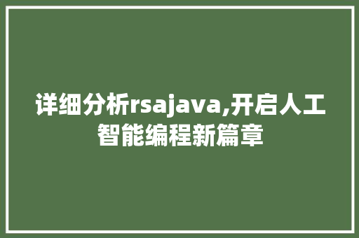 详细分析rsajava,开启人工智能编程新篇章