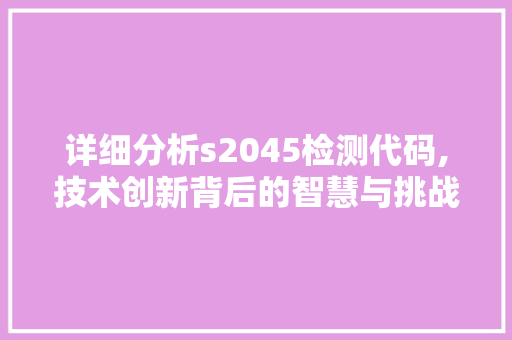 详细分析s2045检测代码,技术创新背后的智慧与挑战