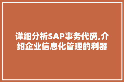 详细分析SAP事务代码,介绍企业信息化管理的利器