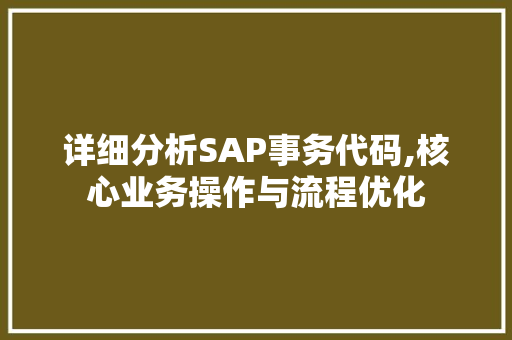 详细分析SAP事务代码,核心业务操作与流程优化