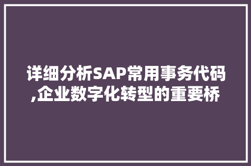 详细分析SAP常用事务代码,企业数字化转型的重要桥梁