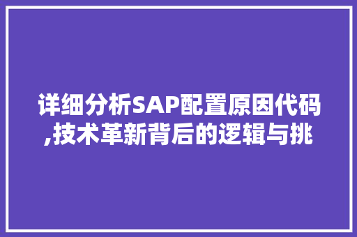 详细分析SAP配置原因代码,技术革新背后的逻辑与挑战