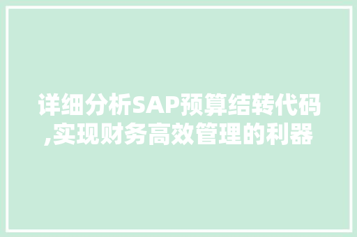 详细分析SAP预算结转代码,实现财务高效管理的利器