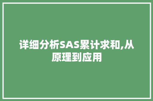 详细分析SAS累计求和,从原理到应用