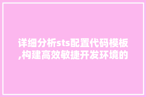 详细分析sts配置代码模板,构建高效敏捷开发环境的秘密武器