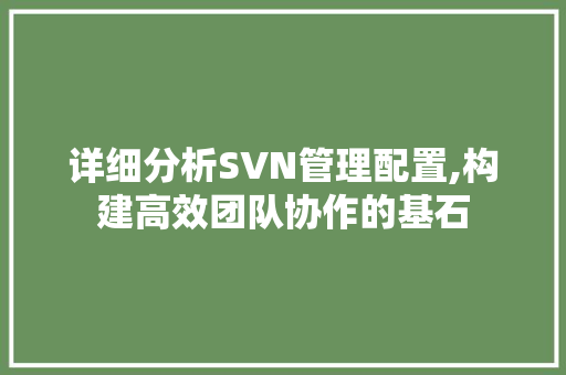 详细分析SVN管理配置,构建高效团队协作的基石