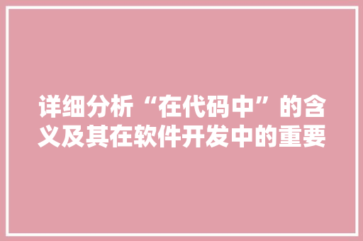 详细分析“在代码中”的含义及其在软件开发中的重要性