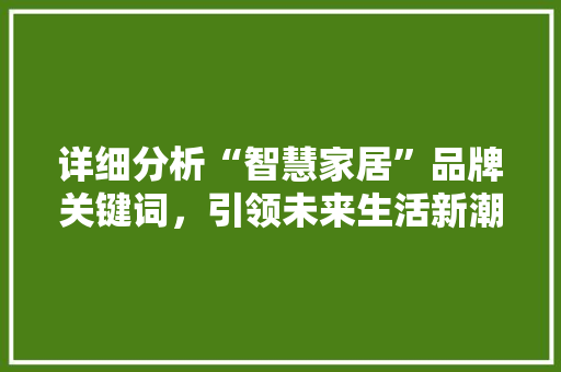 详细分析“智慧家居”品牌关键词，引领未来生活新潮流