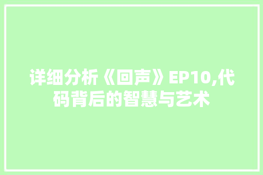 详细分析《回声》EP10,代码背后的智慧与艺术