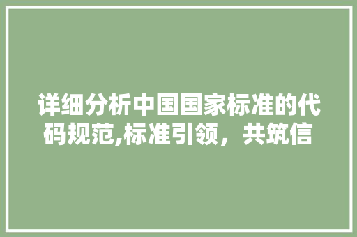 详细分析中国国家标准的代码规范,标准引领，共筑信息化基石