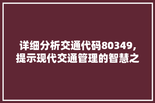 详细分析交通代码80349,提示现代交通管理的智慧之光