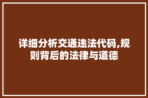 详细分析交通违法代码,规则背后的法律与道德