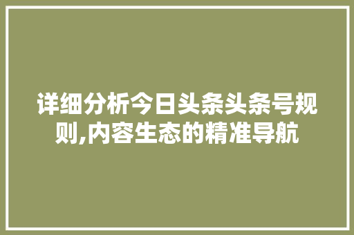 详细分析今日头条头条号规则,内容生态的精准导航