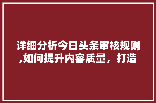 详细分析今日头条审核规则,如何提升内容质量，打造优质内容生态