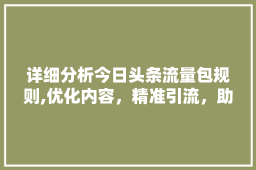 详细分析今日头条流量包规则,优化内容，精准引流，助力自媒体成功