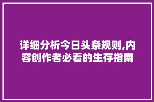 详细分析今日头条规则,内容创作者必看的生存指南