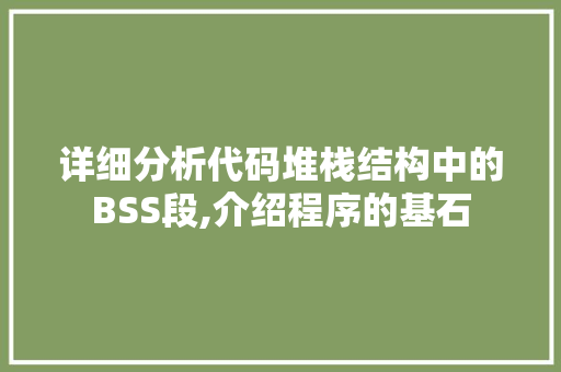 详细分析代码堆栈结构中的BSS段,介绍程序的基石