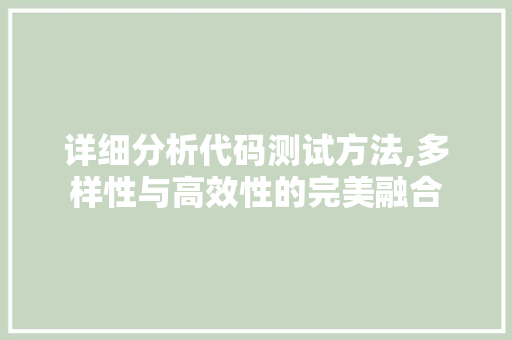 详细分析代码测试方法,多样性与高效性的完美融合