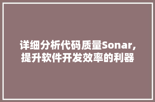 详细分析代码质量Sonar,提升软件开发效率的利器