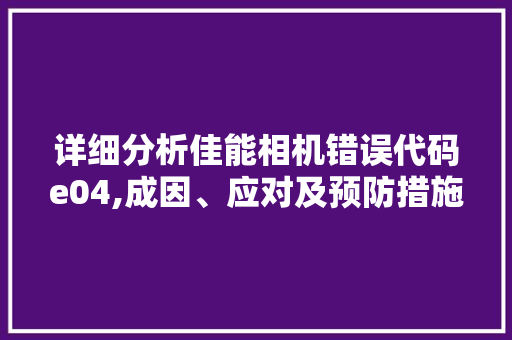 详细分析佳能相机错误代码e04,成因、应对及预防措施