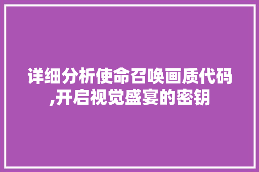 详细分析使命召唤画质代码,开启视觉盛宴的密钥